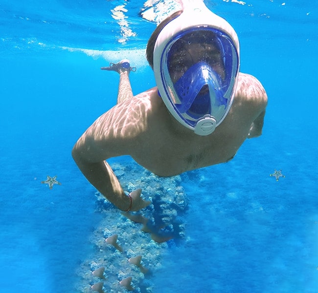 Youth/Adult Full Face Snorkel Mask